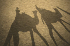 Kamelritt in die Wüste