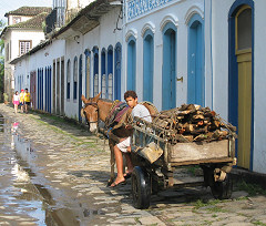 Einziges erlaubtes Gefährt innerhalb der Altstadt