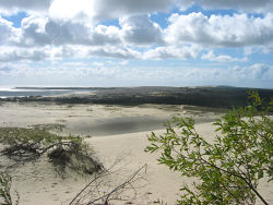 Die große Düne bei Nida
