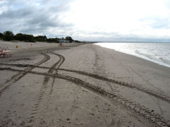 Strand von Pärnu
