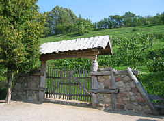 Nördlichster Weinberg der Welt