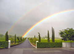 Im Weinland um Stellenbosch