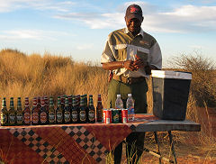 Game-Drive auf der Auob-Lodge
