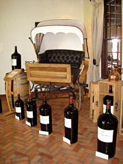 Im Weingut Blaauwklipp