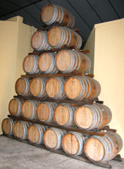 In den Kellern der KWV