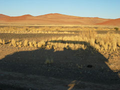 Frühmorgendliche Dünenfahrt