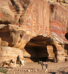 Farbschattierungen im Abendlicht