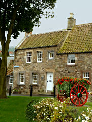 Im Städtchen Falkland