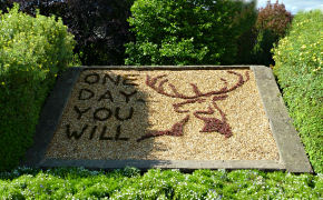 Leitspruch und Emblem der Destillerie Glenfiddich