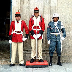 Palastwache vor dem Regierungspalast