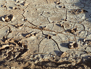 Boden im Valle de los Muertos