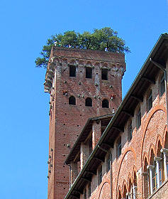 Olivenbaumgekrönter Aussichtsturm Guinigi