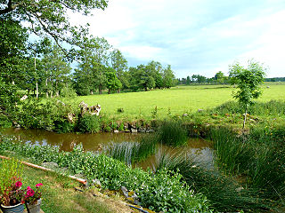 Idyllischer Landschaftsblick von unserer Unterkunft im Schloss Börstorp