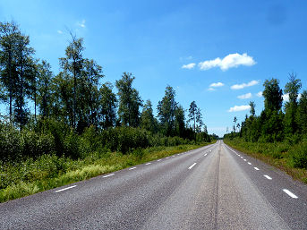 Typische einsame baumbestandene Landstraße in Schweden
