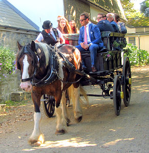 Pferdekutschenfuhrwerk auf Sark