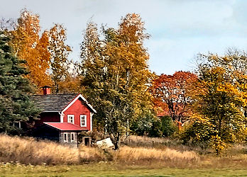 Zum letzten Mal rote Häuschen und herbstlicher Wald vor dem Zugfenster