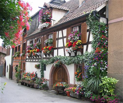 Blumengeschm&uuml;cktes Haus in Riquewihr