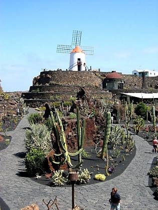 Im Kaktusgarten bei Guatiza